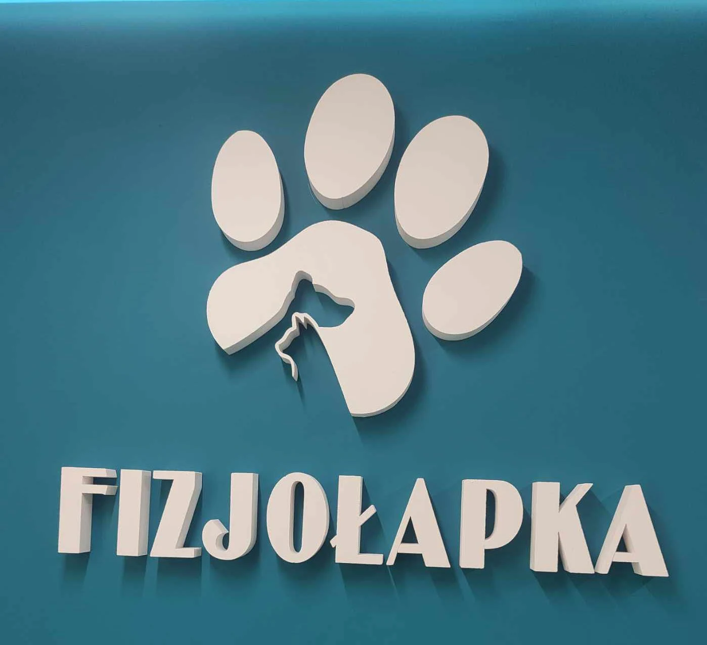 Wnętrze Centrum Rehabilitacji Zwierząt Fizjołapka w Myślenicach